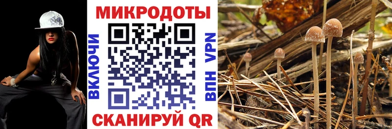 Галлюциногенные грибы ЛСД  Приволжск 