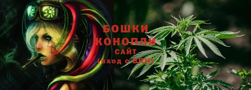 купить   Приволжск  Канабис OG Kush 